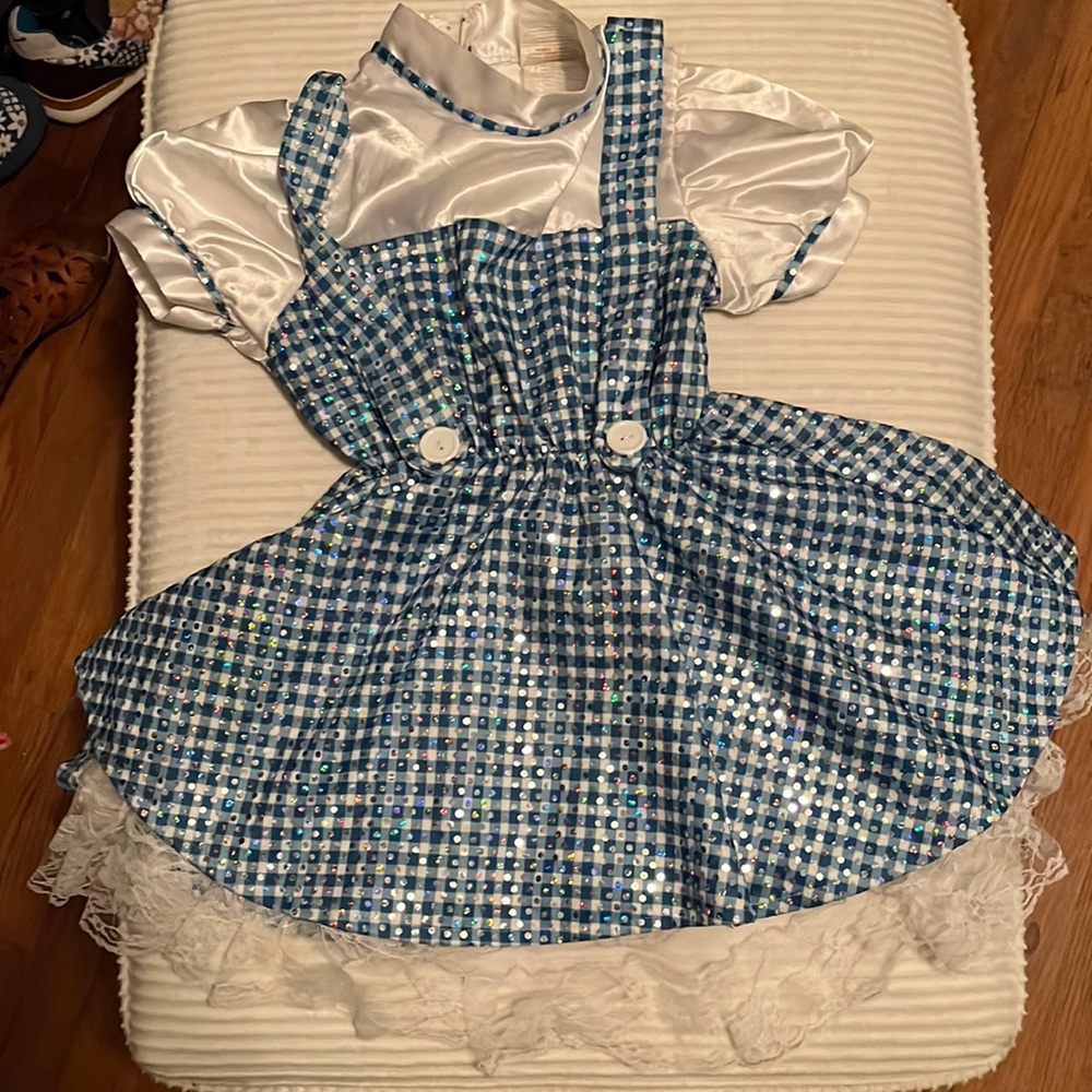 Halloween costume Dorothy Wizard of Oz size S